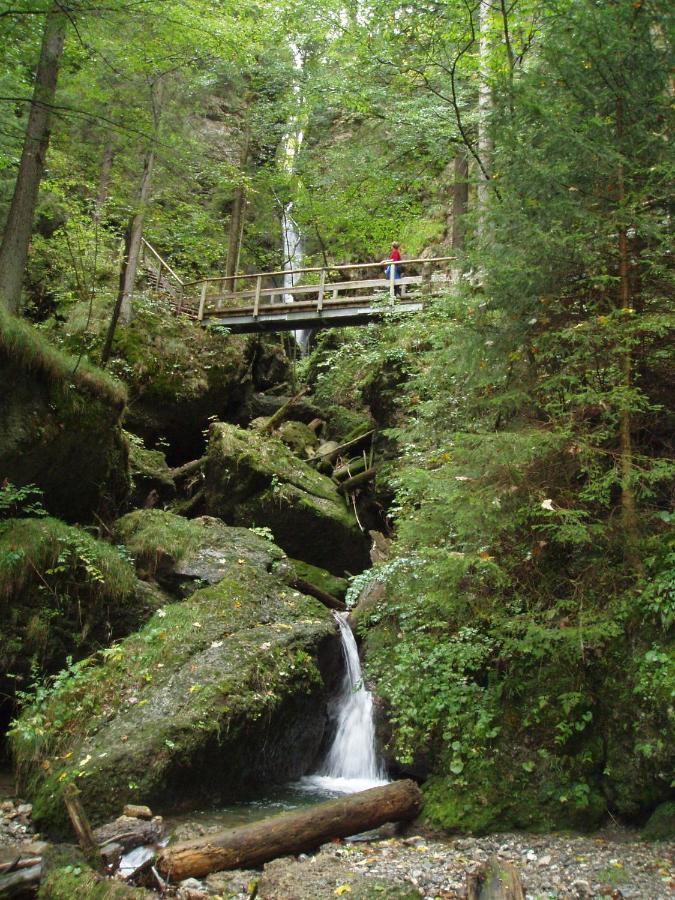 Appartamento Gastehaus Koch Fischen im Allgaeu Esterno foto